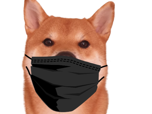 odin masque shiba chien inu