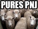 moutons-matrixes-matrice-matrix-npc-soumis-soumission-pnj-mouton-other-veau-veaux
