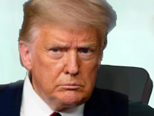 bin depend ca risitas chaise trump prot gym muscu gundill