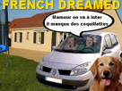 labrador-chien-magalie-dream-pavillon-trampoline-scenic-french-risitas-golden
