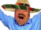 mexicain-2016-alors-2020-montel-cour-peut-supreme-eussou-risitas-swinguer-sombrero-etre-maga-swinger