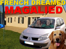 risitas-labrador-pnj-magalie-golden-dream-french-trampoline-pavillon-scenic-chien