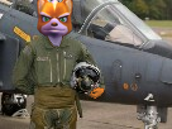 pilote avion fox armee chasseur assault tinnova militaire mccloud aviation starfox