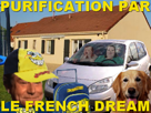 dream-pavillon-trampoline-labrador-magalie-par-risitas-french-chien-purification-scenic-golden-pnj