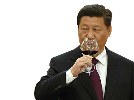 vin politique politics chinois chine xi jinping