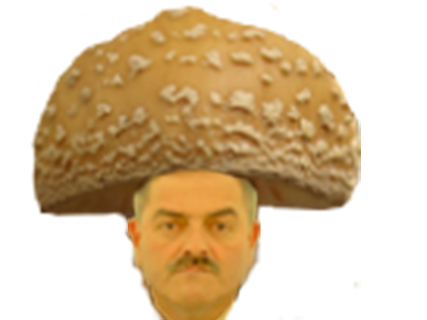 paz champignon marlou champi ronaldo risitas