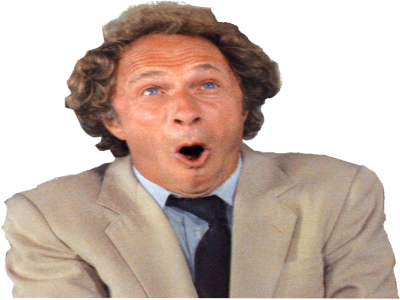 richard pierre francois perrin