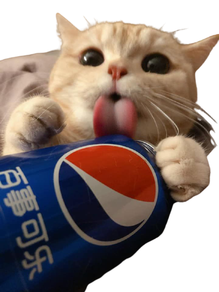 kawaii chat other mignon