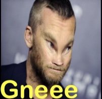 grosse gnee risitas warnard gauchiste tete