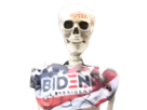 biden-mort-trump-vote-pro-politic
