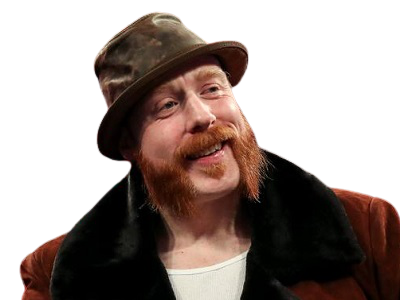 wwe lesnar504 sheamus