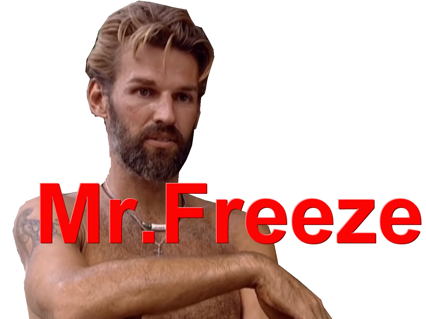 heidik freeze survivor