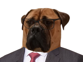 geraltlerif chien victime prescription alpha leader chef costume dog male risitas celestin medicalechien