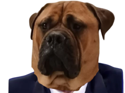 indignite chienlestin chien sarkozy