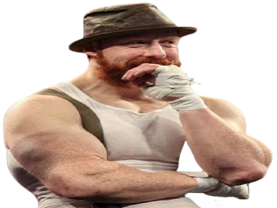 lesnar504 wwe other sheamus