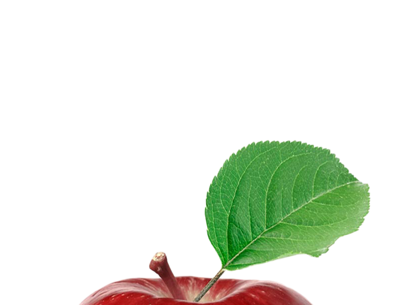 risipomme risitas 2 ahi ahii pomme aya bolenbwa fruit