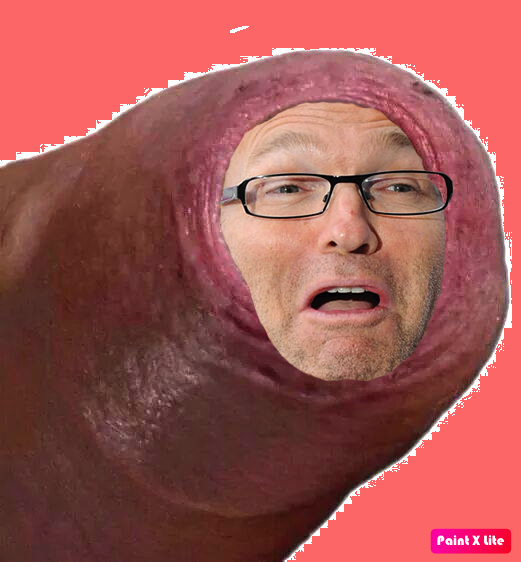 ruquier penis choque