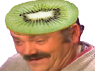 kiwi-fruit-ahi-risitas
