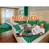 mbudget-budged-budget-pauvre-jvc-migros-migroed