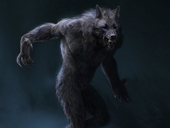 loup1 loupgarou risitas supercelestin