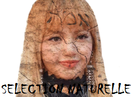 blackpink lisa kpop golem