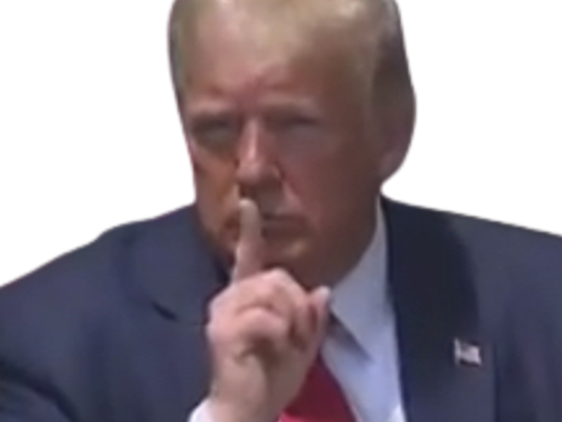 unis alpha politic maga trump amerique etats blond chad president