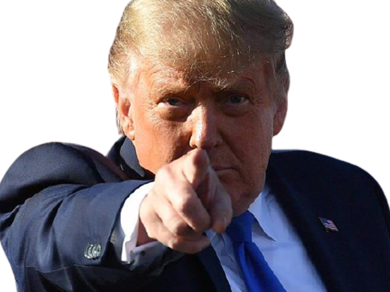 etats maga unis blond politic trump amerique president alpha chad