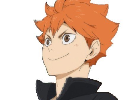 risitas hinata shoyo haikyu