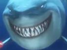 requin-risitas-dents-bruce-crocs-sourire-feroce-mer-nemo