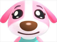 cookie ouaf risitas chien