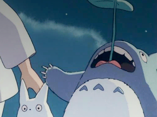 totoro miyazaki voisin gif mon kikoojap
