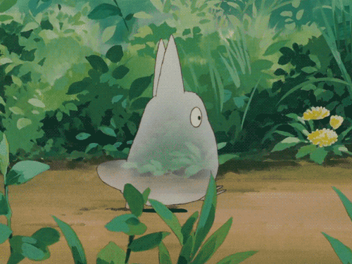 mon voisin miyazaki totoro gif kikoojap