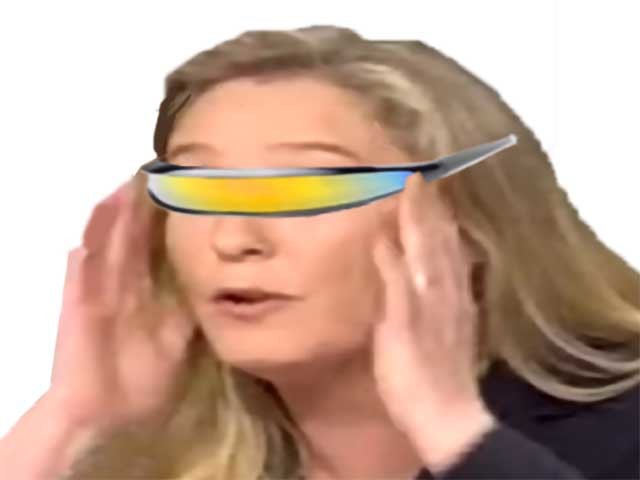 jvc risitas jeune lepen lunette