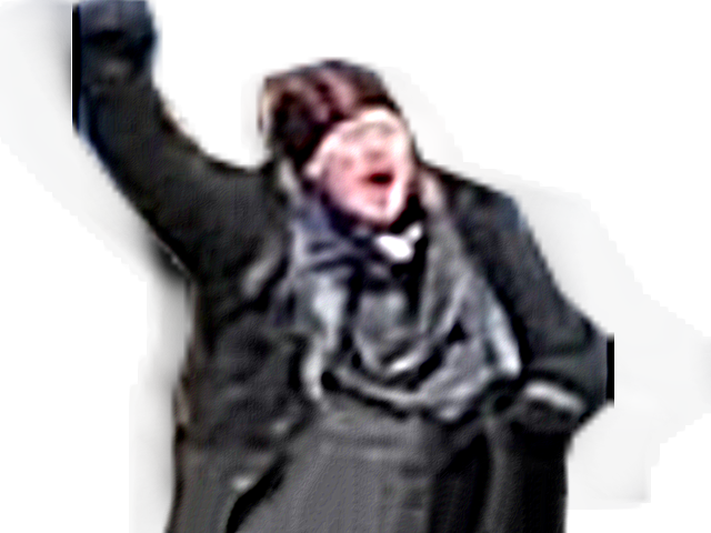 aya coup por revolution trump congres risitas etat