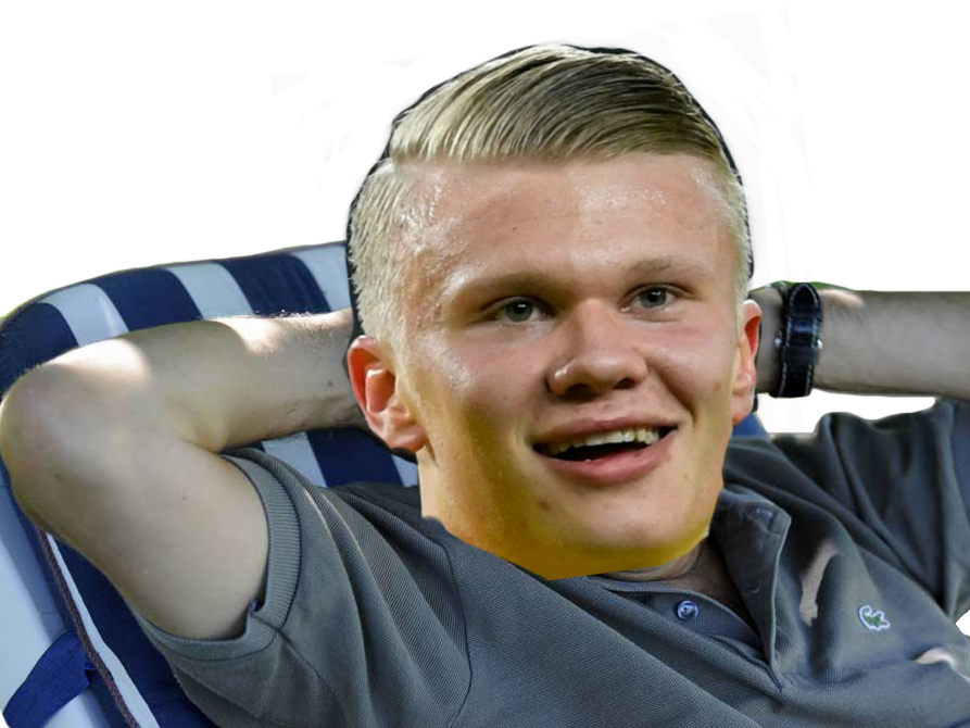 haaland fillon risitas foot