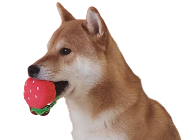 risitas jeu odin inu shiba dog