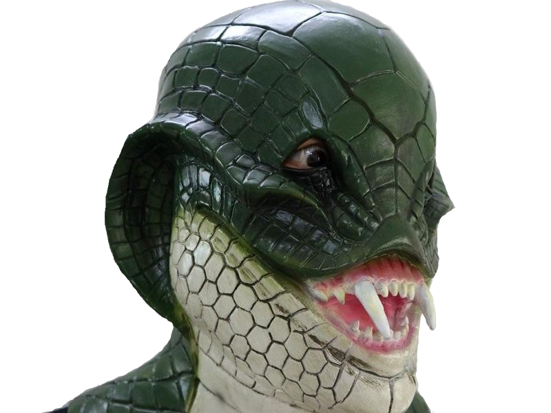 costume serpent chelou