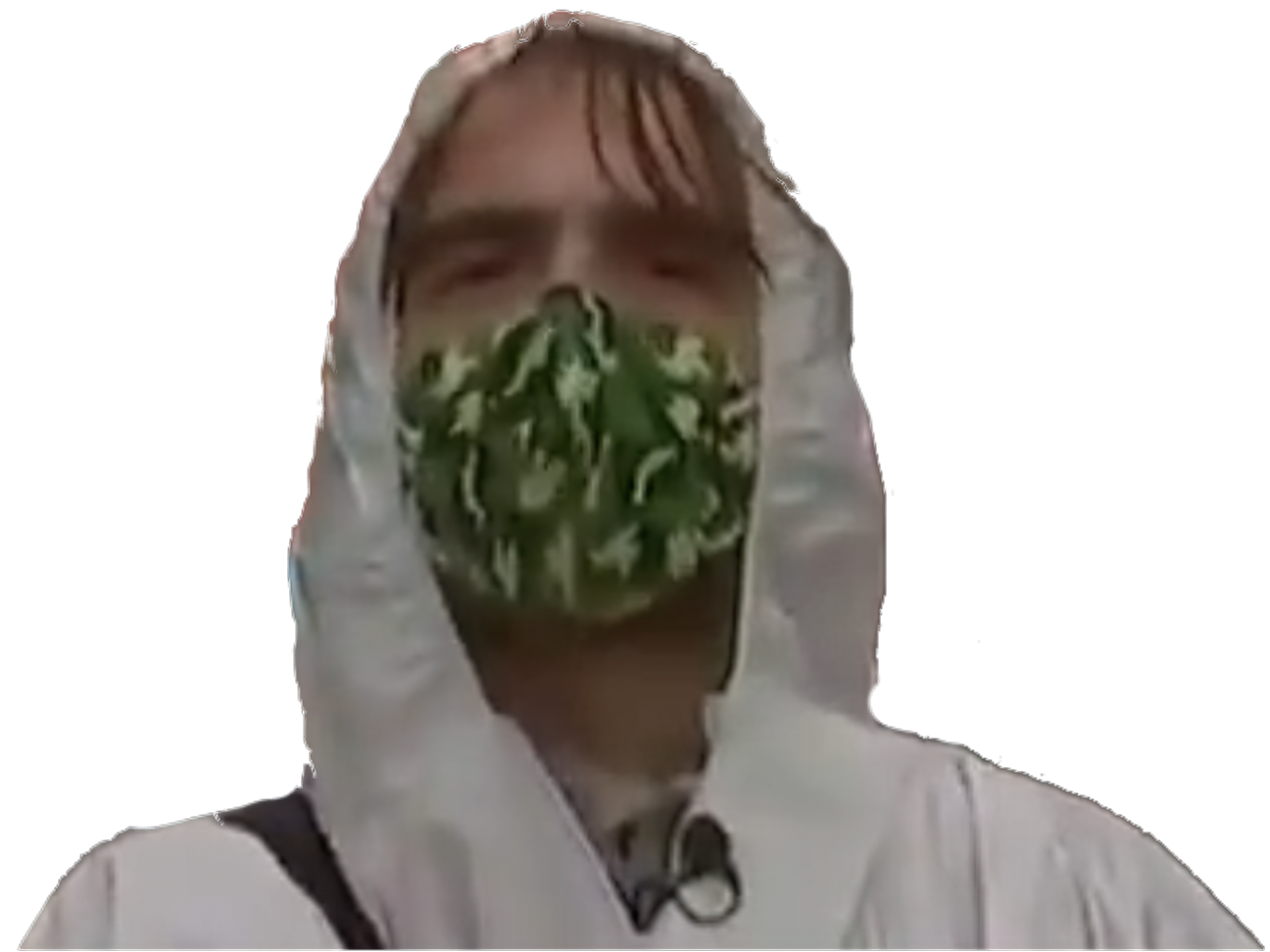 covid edouard risitas covidboyz boys politic