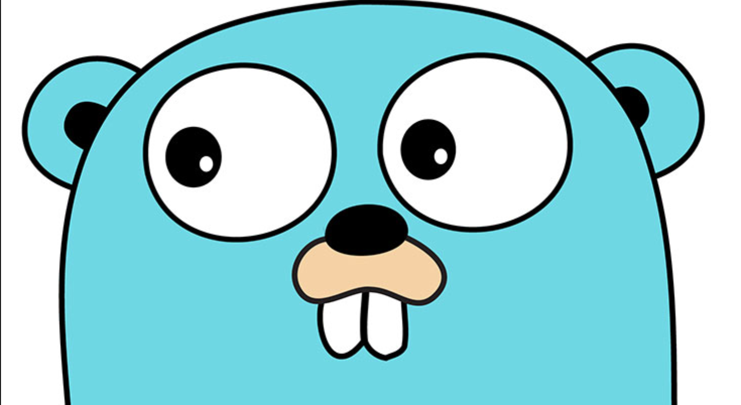 Golang while. Гофер голанг. Golang Маскот. Golang значок. Golang лого без фона.