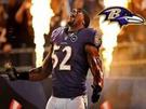 nfl-ray-lewis-ravens-other