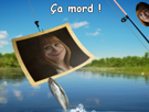 claire-clairedearing-folaillon-ca-troll-dearing-mord-feed