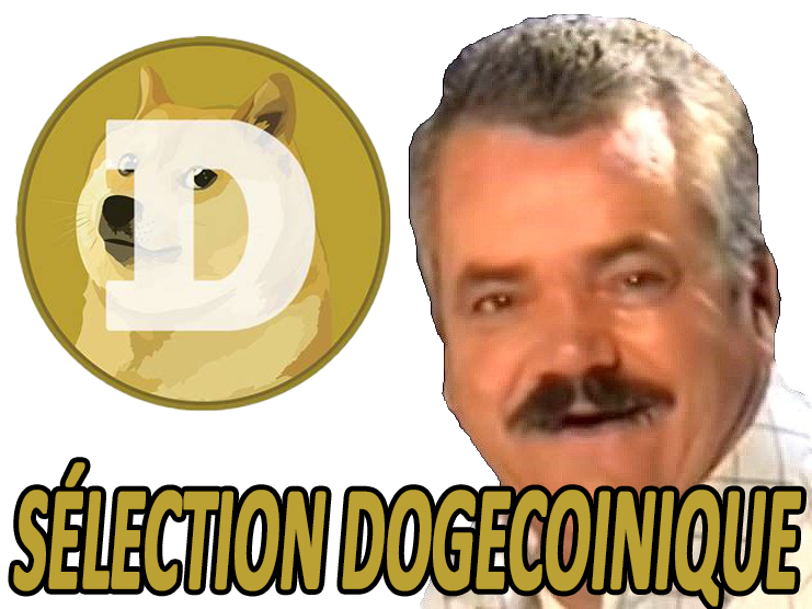 the dogecoin risitas doge shitcoin golem cryptomonnaire moon to selection naturelle