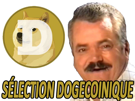 the-dogecoin-risitas-doge-shitcoin-golem-cryptomonnaire-moon-to-selection-naturelle