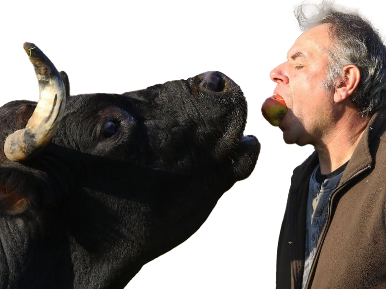 amour jean daniel pre