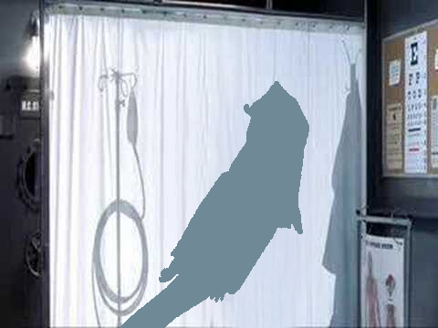 ombre risitas wonki chinoise medecin