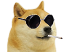 pute-alkpote-wow-joint-dogecoin-other-doge