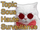 2sucres-lunettes-kawaii-mignon-haute-surveillance-merde-chat-siika-staynoided-chatdeluxe-risitas-jvc-topic-sous