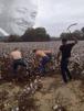 esclave-agriculteur-paysan-lutherking-noir-fouet-esclavage-champs-travail-blanc-rsa-renoi-other-agriculture-prolo