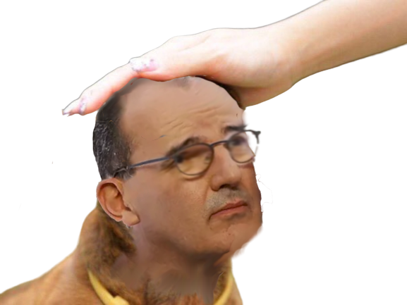 macron chien soumis jean lopette bonchien risitas castex