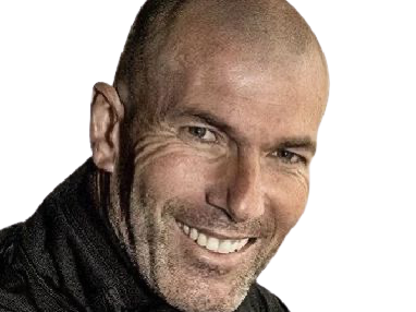 zinedine zidane zizou narquois malicieux troll coach real madrid sourire football